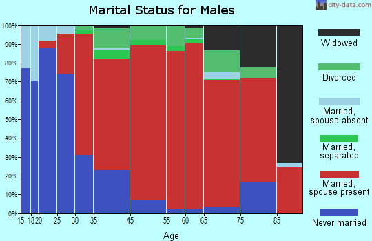 Cochecton marital status for males