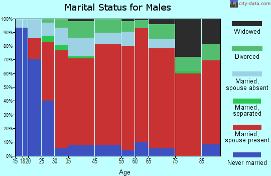 Adin-Lookout marital status for males
