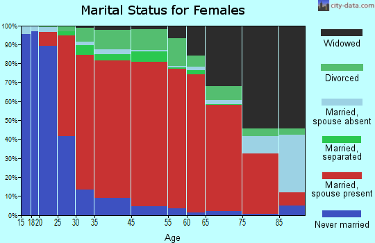 New Lebanon marital status for females