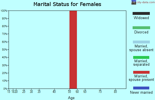 Staten Island marital status for females