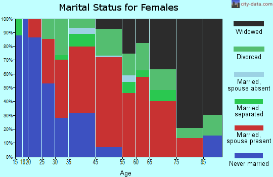 Stuyvesant marital status for females