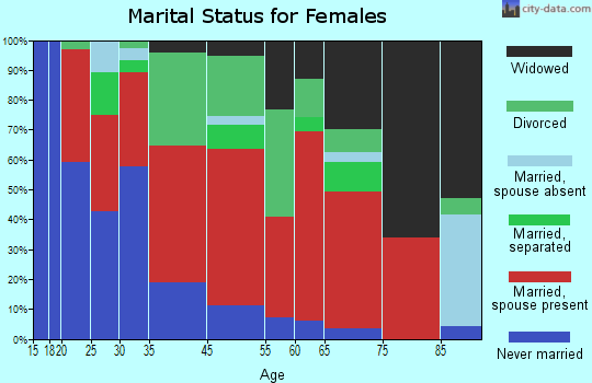 Big Spring-East View marital status for females