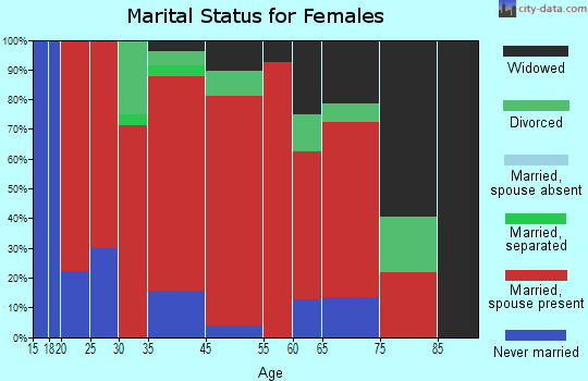 New River marital status for females