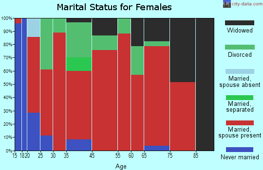 Northeast Brazos marital status for females