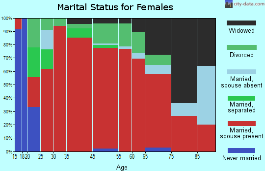 Southeast Hidalgo marital status for females