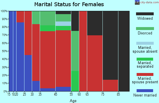 South Jefferson marital status for females