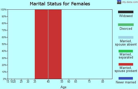 Brighton marital status for females