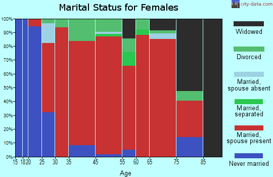 Lebanon marital status for females