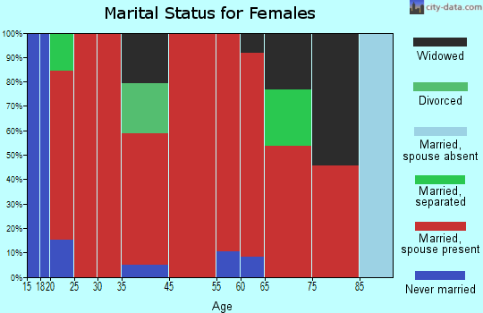 Big Flats marital status for females