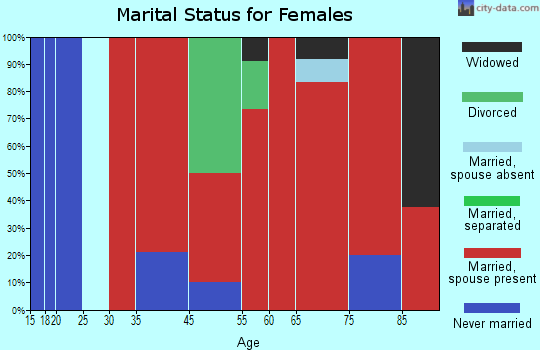 Black Brook marital status for females