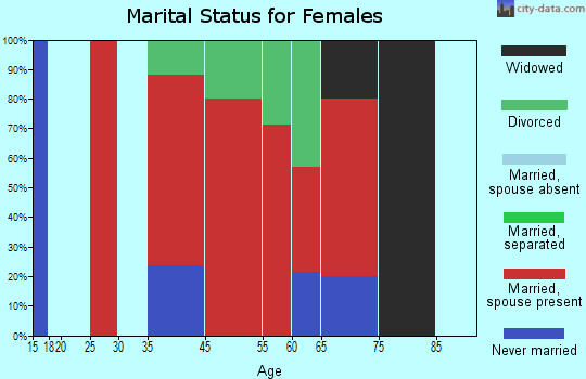 Saxon marital status for females