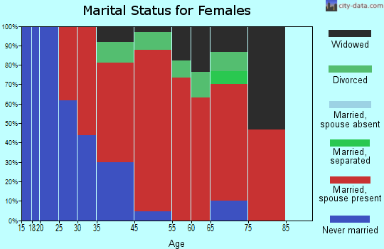 Schleswig marital status for females