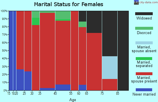 Summit marital status for females