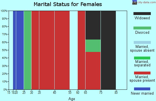 Islamorada, Village of Islands marital status for females