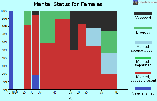 Rock Spring marital status for females