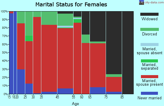 Silver City marital status for females
