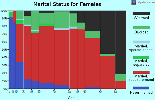 Bruneau marital status for females