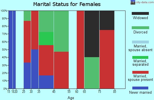 South Bannock marital status for females