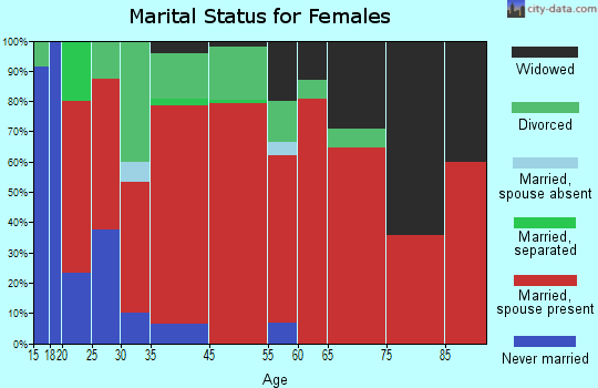 Logan-Nara Visa marital status for females
