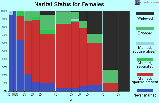 Chemung marital status for females