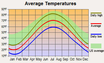 Carson City, Michigan average temperatures