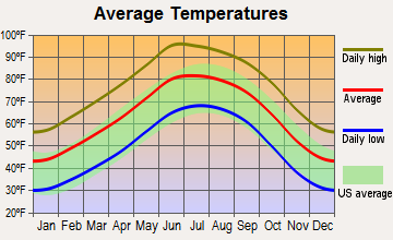Homestead Meadows South, Texas average temperatures