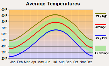 Petersburg, Texas average temperatures