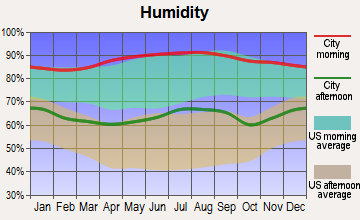 Bogalusa, Louisiana humidity
