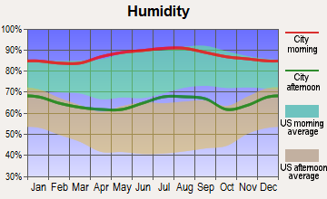 Jefferson, Louisiana humidity