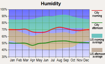 Somerton, Arizona humidity