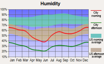 Tacna, Arizona humidity