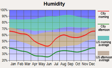 Wellton, Arizona humidity