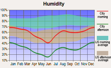 Dewey-Humboldt, Arizona humidity