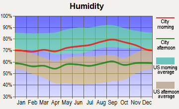 Bedford, Massachusetts humidity