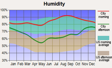 De Tour Village, Michigan humidity