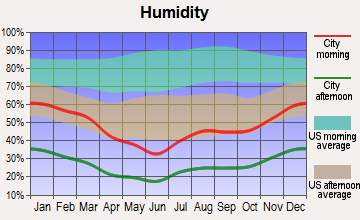 Lake Havasu City, Arizona humidity