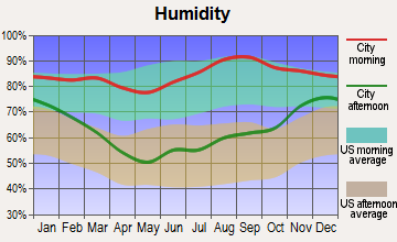 Mesick, Michigan humidity