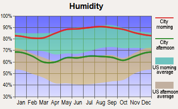 Starkville, Mississippi humidity