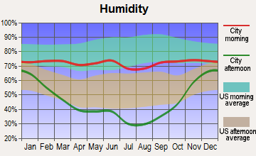 Virginia City, Montana humidity
