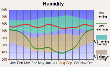 Wibaux, Montana humidity