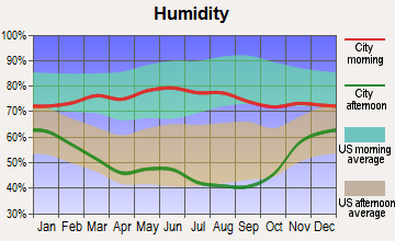 Merriman, Nebraska humidity