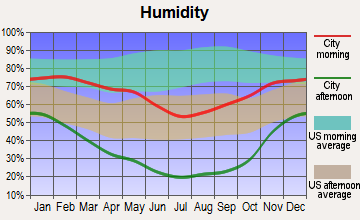 Round Mountain, Nevada humidity