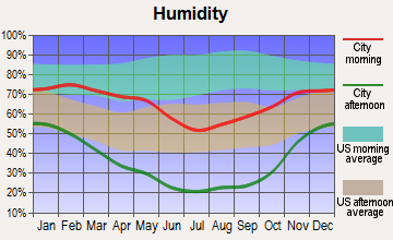 Ruth, Nevada humidity