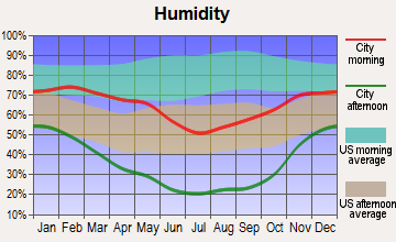 Pioche, Nevada humidity
