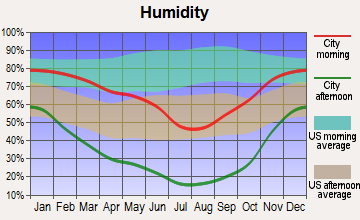 Summit Lake, Nevada humidity