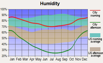 Johnson Lane, Nevada humidity