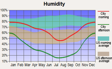 Battle Mountain, Nevada humidity