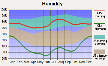 Red River, New Mexico humidity