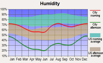 Nageezi, New Mexico humidity