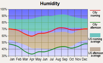 Fort Sumner, New Mexico humidity
